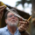 Arstid: Zika viirus on ohtlikum kui arvatud