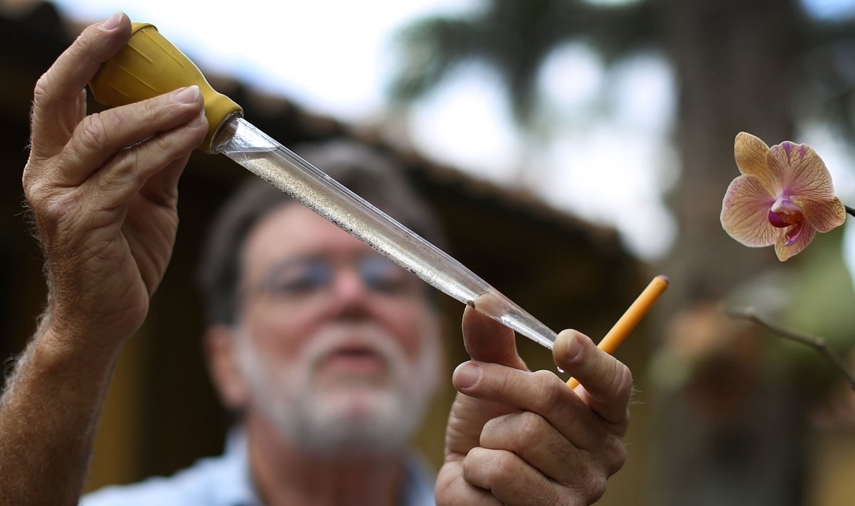 USA teadlane uurib Floridas viirust kandvate sääskede vastseid