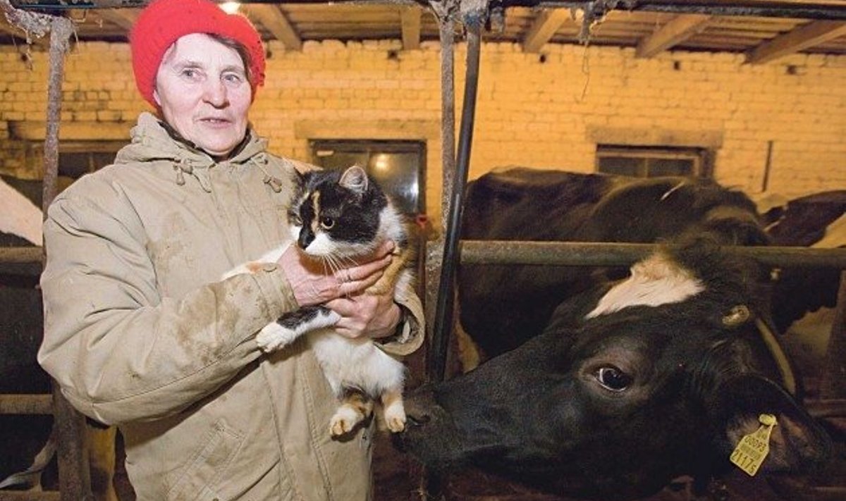 Talulaudas moodustavad sõbraliku seltskonna perenaine Lea Puur, kass Kata ja lehm Combi.