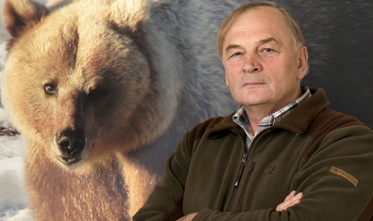 Rakke Jahiseltsi esimehe, RMK metsaparandaja Villu Alatsei sõnul nähakse praegu igal jahil mõnd karu.