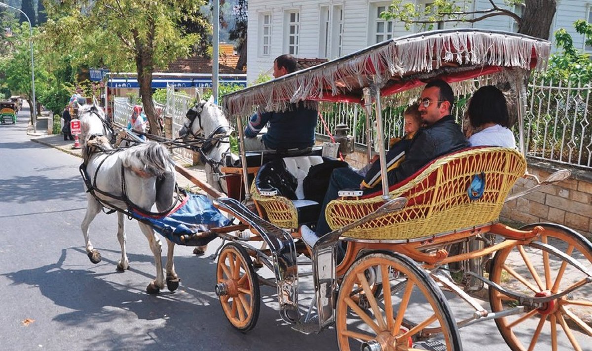 Printsi saarte suurim saar on Büyükada, mis on kuulus oma valgete villade ja hobukaarikute tõttu,mis on saarel muide ainsad neljarattalised liiklusvahendid.