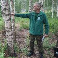 See metsaomanik oskab puidule lisaks saada metsast pea kõike - ravimitest kaitsevõimeni