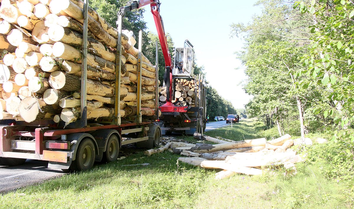 Kindlaksmääratud teedel tohib peagi puiduveoki täismass ulatuda 52 tonnini.