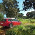 Proovisõit: VW Golf Alltrack – maastikusuutlik maanteesõiduk