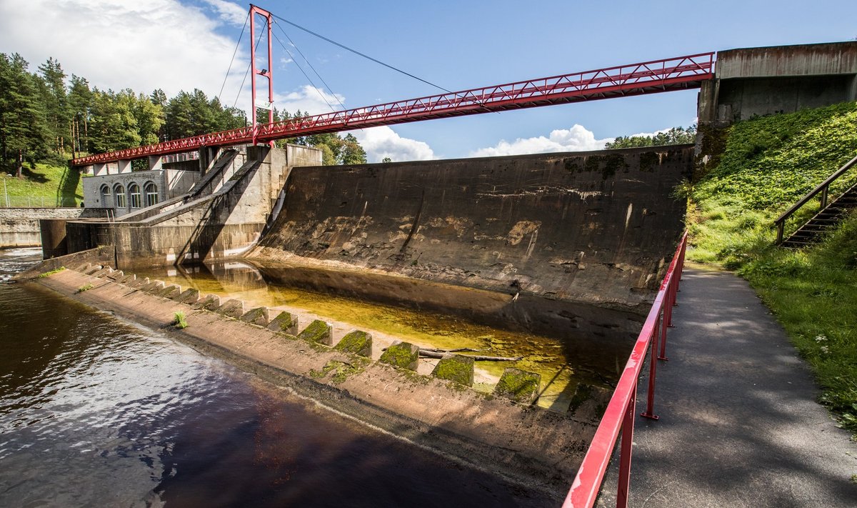 Linnamäe hüdroelektrijaama paisu eemaldamisel võiks Jägala jões vohada nii lõhe kui ka võldas. 