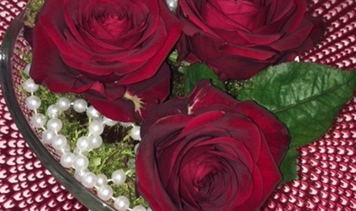 Süda magavate roosidega. Täitke klaasanum samblaga, torgake roosid sambla sisse ja puistake peale pärlid.