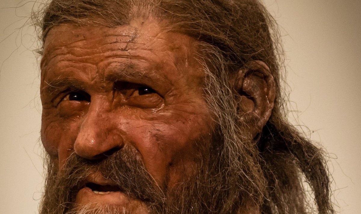Tänapäevaste vahenditega taasloodud Ötzi. (Foto: Wikimedia Commons / Thilo Parg)