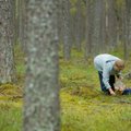 Õnnelik pääsemine: Saaremaal kadunud seenelise leidmiseks läks vaja drooni ja kopterit