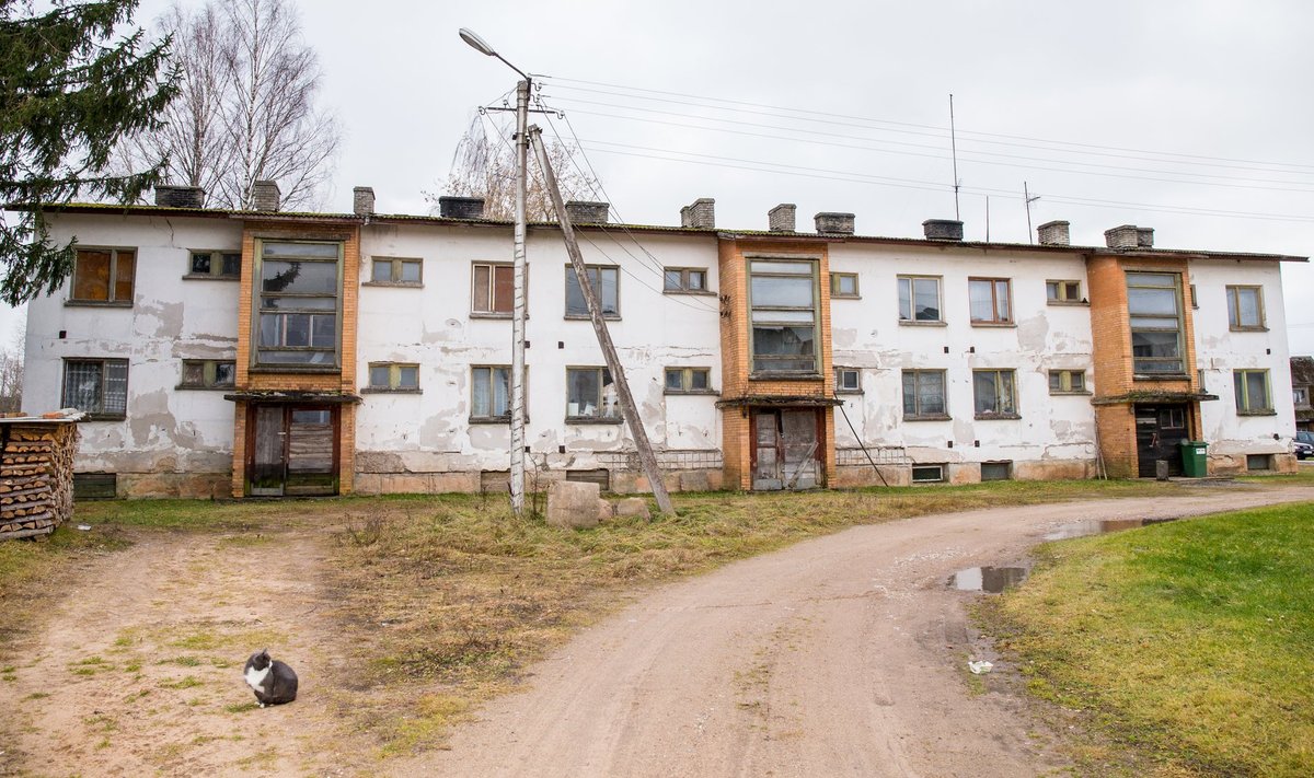 Selle suure maja ühes otsas elab Raivo Ossip, teises otsas veel üks mees.