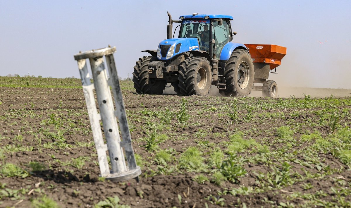 SÕJA KIUSTE: Ukraina põllumehed töötavad, kuidas jaksavad, kuid ekspordiraskuste tõttu pole järgmist nisusaaki enam kuskile panna.