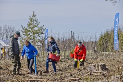 Alexela kogukonnaprogramm