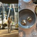 ФОТО | „Трюфель выводит любое блюдо на новый уровень“. В итальянском ресторане в Таллинне прошел трюфельный ужин