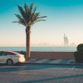 В Дубае полиция вернула туристке бриллиант, потерянный в такси