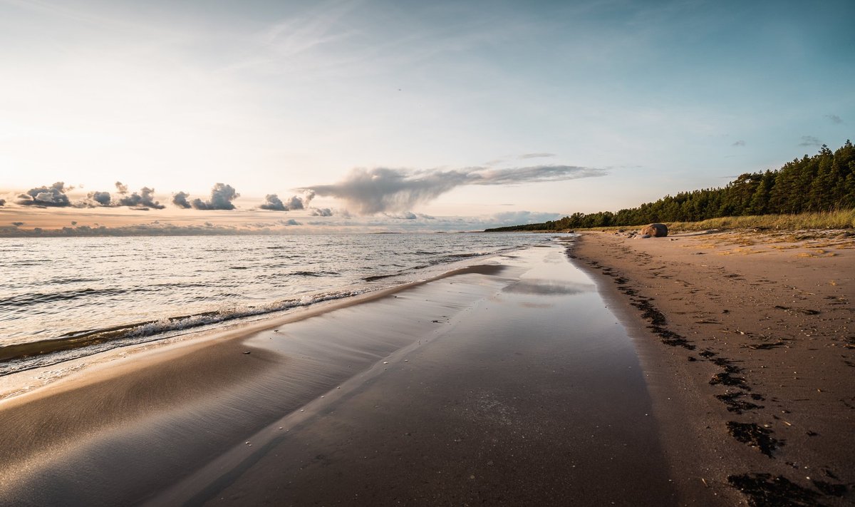 Reisiajakiri Condé Nast Traveler soovitab oma lugejatel idüllilisi ja ülerahvastamata randu otsides sõita Pärnumaale Matsi randa.