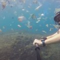 Что мы натворили: пластиковое море у берегов Бали