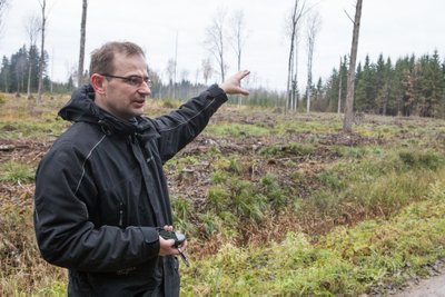 Asko Lõhmus ütles, et Keskkonnaagentuur jättis 10 aasta jooksul tähelepanuta mittesäästliku metsanduse näitajate ilmumise ning ka salgas neid aastaid.