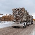 Kudjaped ähvardab suur puiduveoautode vool