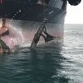Kolmteist ja reede: tanker tõmbas ankruga merepõhjast torpeedo üles, laevapere evakueeriti