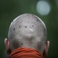 FOTOLUGU: Buda mungad ei tee sääselegi liiga