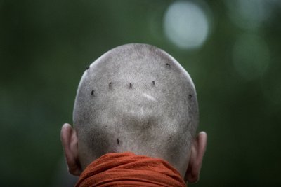 Buda mungad ei tee sääselegi liiga