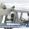 VIDEO: BBC fotograaf nägi jääkaru lähemalt, kui vaja: kõige kohutavamad 45 minutit mu elus