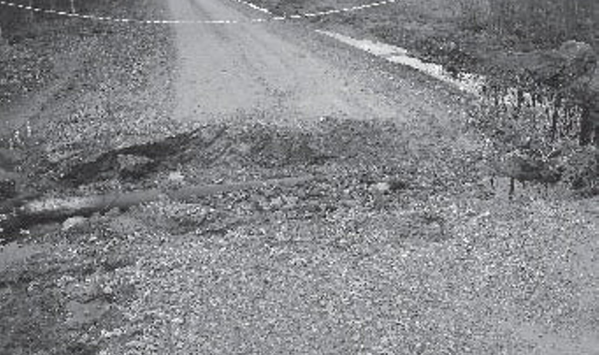 Tarkus-Kolbergi tee enne: Uhtunud teetruup Tarkus-Kolbergi teel