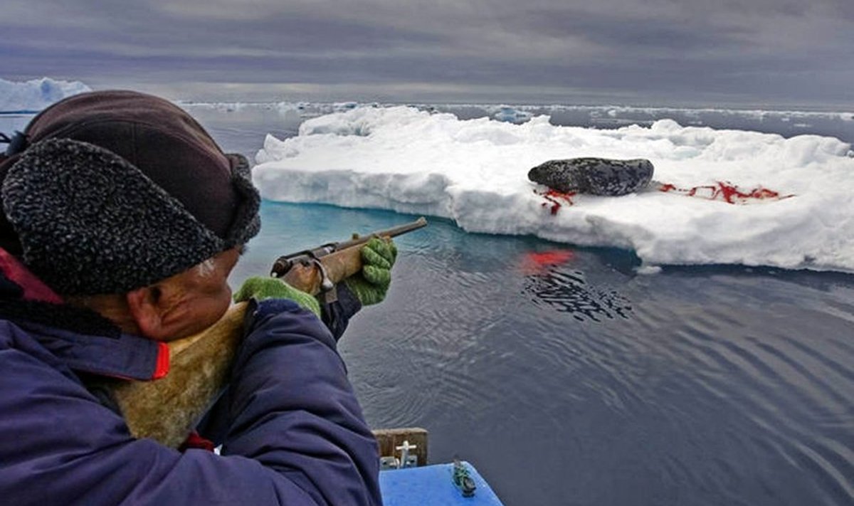 Inuitid Lõuna-Gröönimaal, 2010.National Geographic
