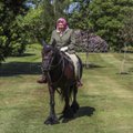 KLÕPS | 94-aastane kuninganna Elizabeth II ronis üle pika aja taas hobuse selga