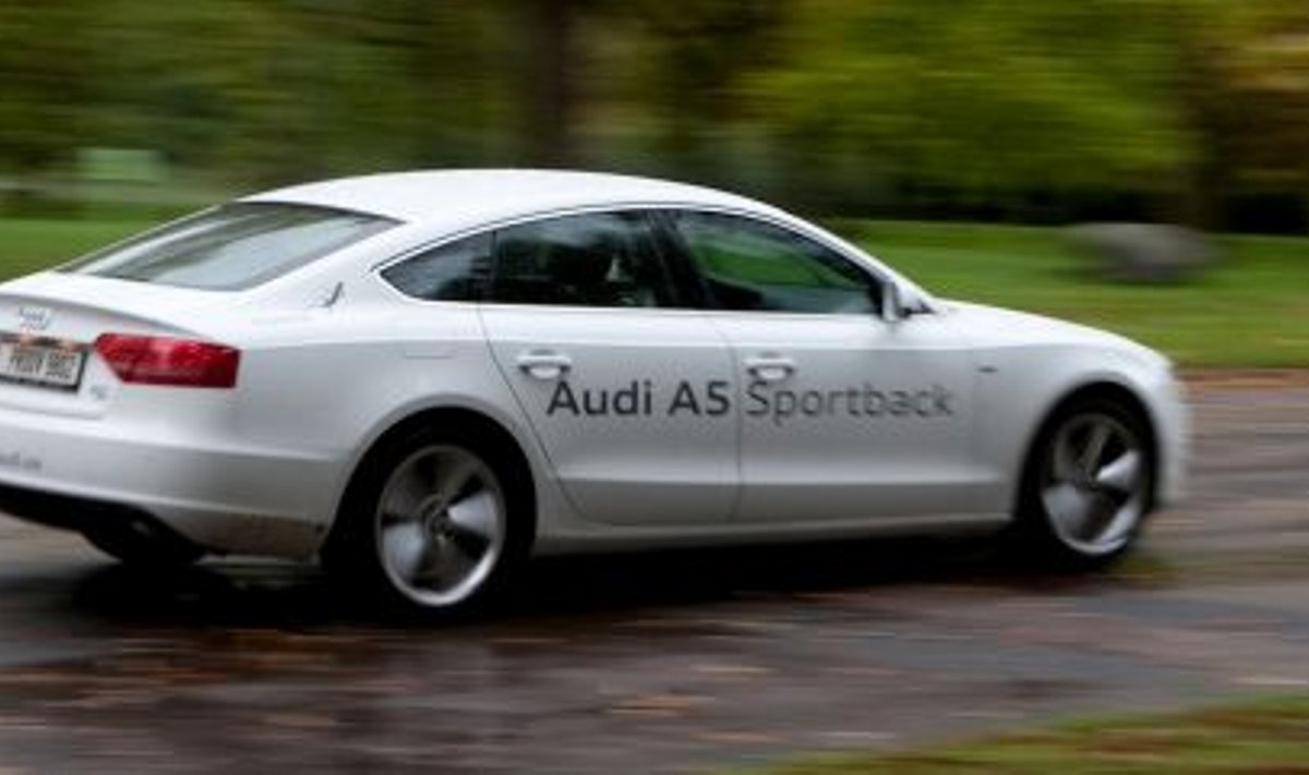 A5 Sportback on Audi menukamaid mudeleid