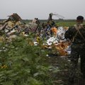 Силовики и ополченцы договорились не стрелять возле места падения "Боинга-777"