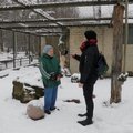 Интервью из клетки Таллиннского зоопарка. Где сейчас тигр Боцман и почему его хотят переселить в новое жилище?