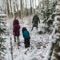 Käes on viimase kümnendi pikimad pühad. Inimlikult toredad, aga kas Eestile ka majanduslikult kasulikud? 