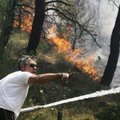 Türgi salateenistus süütas Kreekas tahtlikult metsatulekahjusid