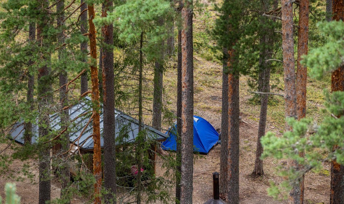 Riigimetsast varutavale vähemväärtuslikule paberipuidule ning raidmetele jätkavad konkureerimist Fibenol, Biojet, Horizon, Power2X ja VKG Fiber.