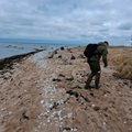ФОТО | Лабораторный анализ определил вид загрязнения на эстонском пляже