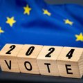 Директор Stratcom: России выгодна низкая явка на выборах в Европарламент