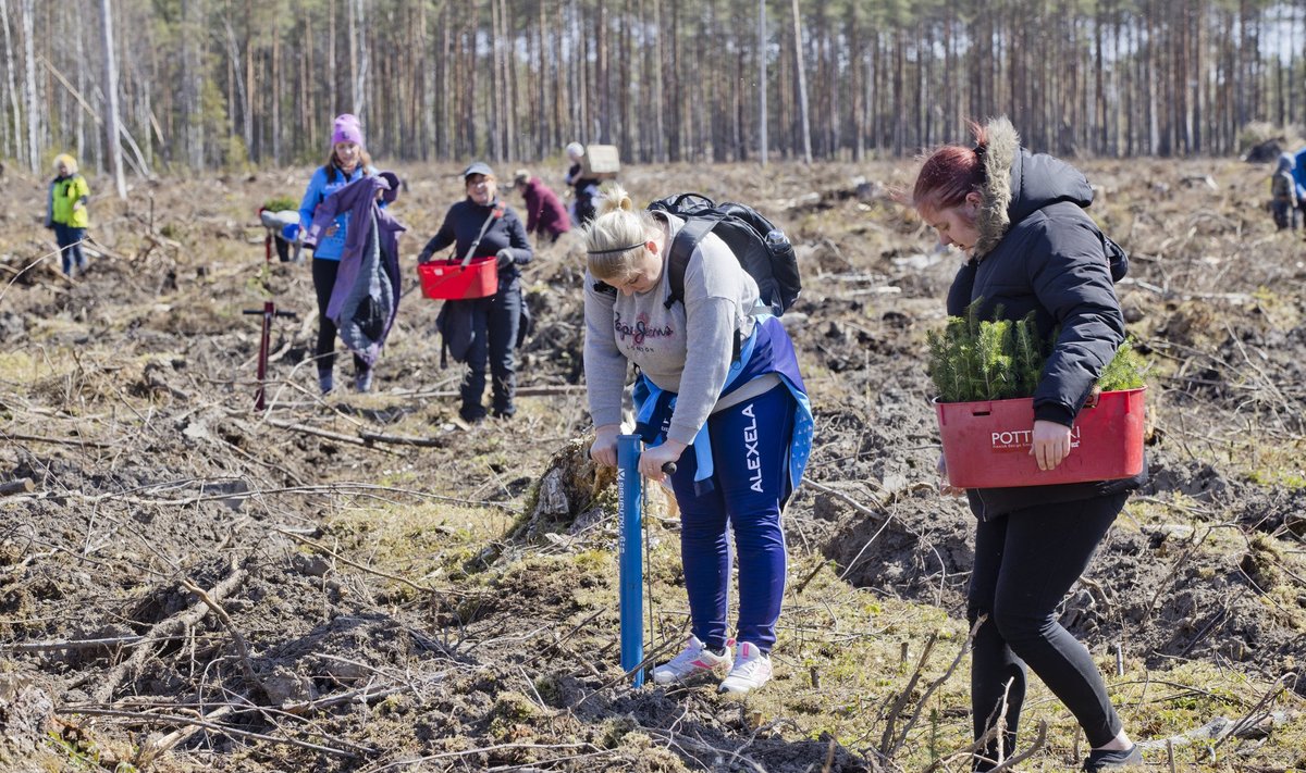 Alexela kogukonnaprogramm