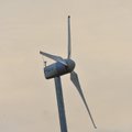 Парки ветрогенераторов Enefit Taastuvenergia произвели в мае на 36% больше электричества, чем годом ранее