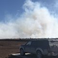 ФОТО | В Пярнумаа горело торфяное болото. Из-за сильного ветра огонь распространялся очень быстро