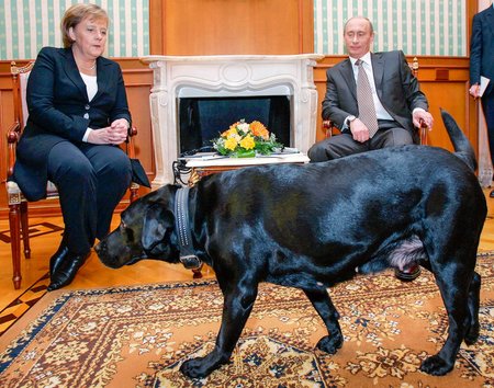 Tandem: 2007. aasta 21. jaanuar Sotšis. Angela Merkel kardab koeri. Kas võõrustaja teadis seda? Kui teadis, siis ütleb see pilt rohkem kui kümme tuhat sõna.