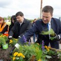 ФОТО | В День Таллинна в город высадили более 5000 цветов! Ратас, Кылварт и Свет помогли