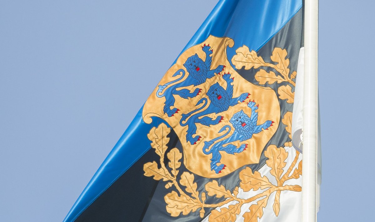 Riigivapiga Eesti lipp