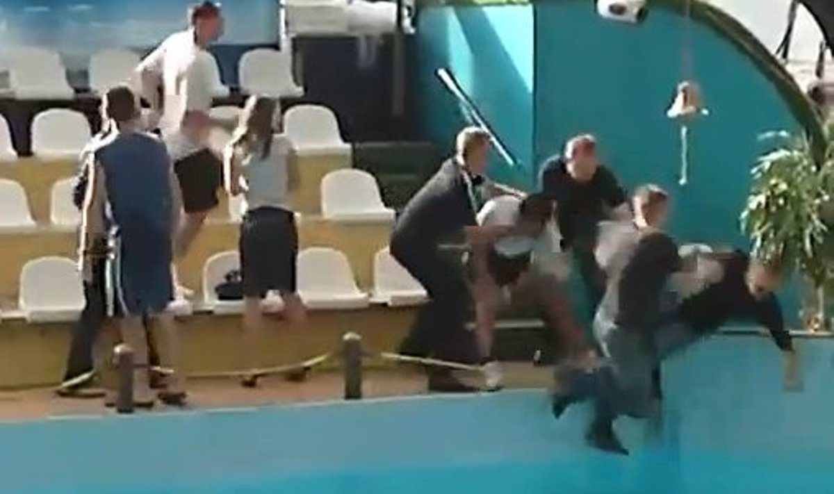 Tavaline päev Vene delfinaariumis. Purjus külastajad ja vettevisatud turvamehed
