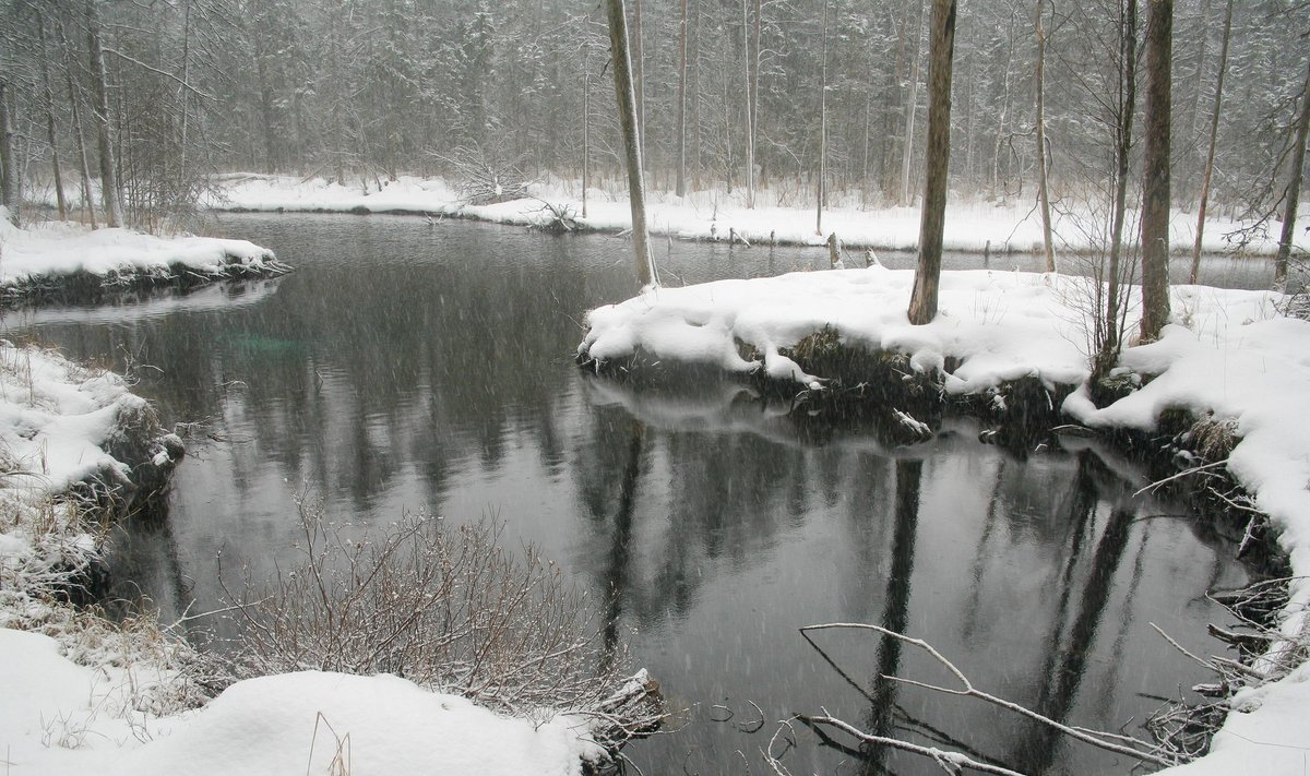 Lumehelbed lisavad väikest vürtsi Vilbaste allikatele Võlingi jõel.