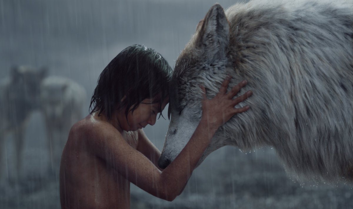 Huntide seas üles kasvanud Mowgli (Neel Sethi) jätab hüvasti oma karja ja hundiemaga (Lupita Nyong’o), et leida tee inimmaailma.