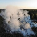 ФОТО | В Пярнумаа вспыхнул крупный лесной пожар. Дым подобрался к жилым домам