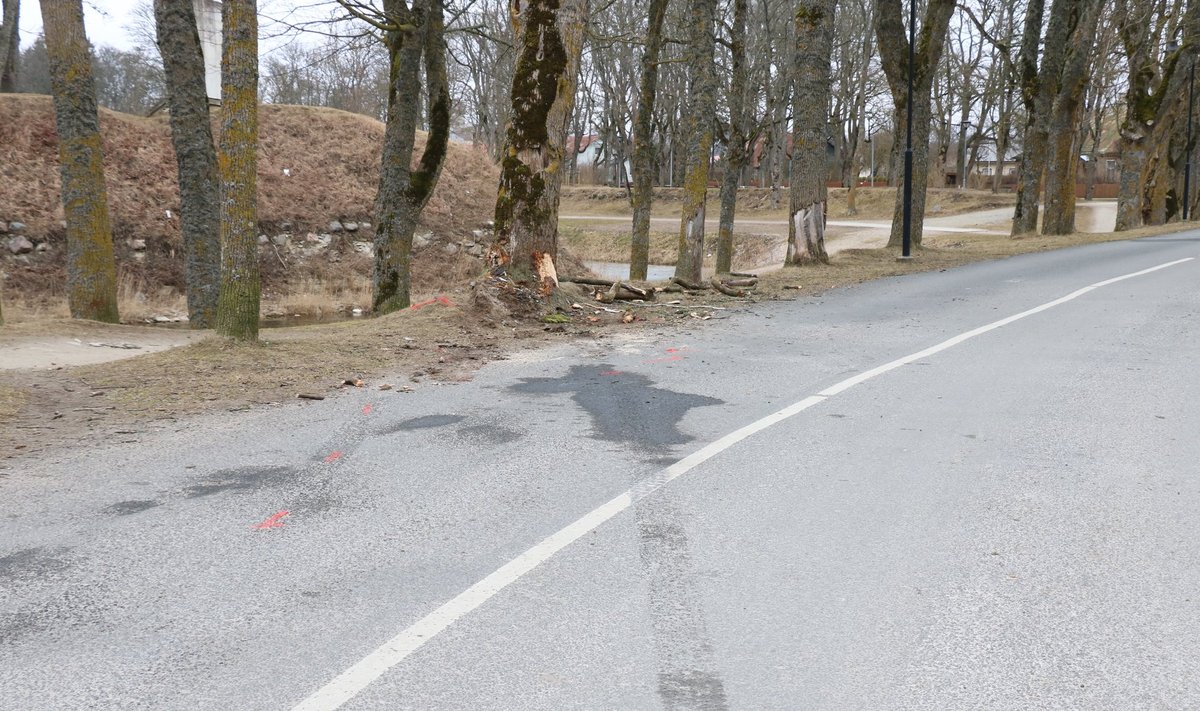 Liiklusõnnetus Kalda puiesteel, bmw juht sõitis vastu puud, kaasreisija viidi Tallinna kopteriga, hommikul avariikoht