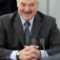 Как белорусские "тунеядцы" сопротивляются президентскому декрету