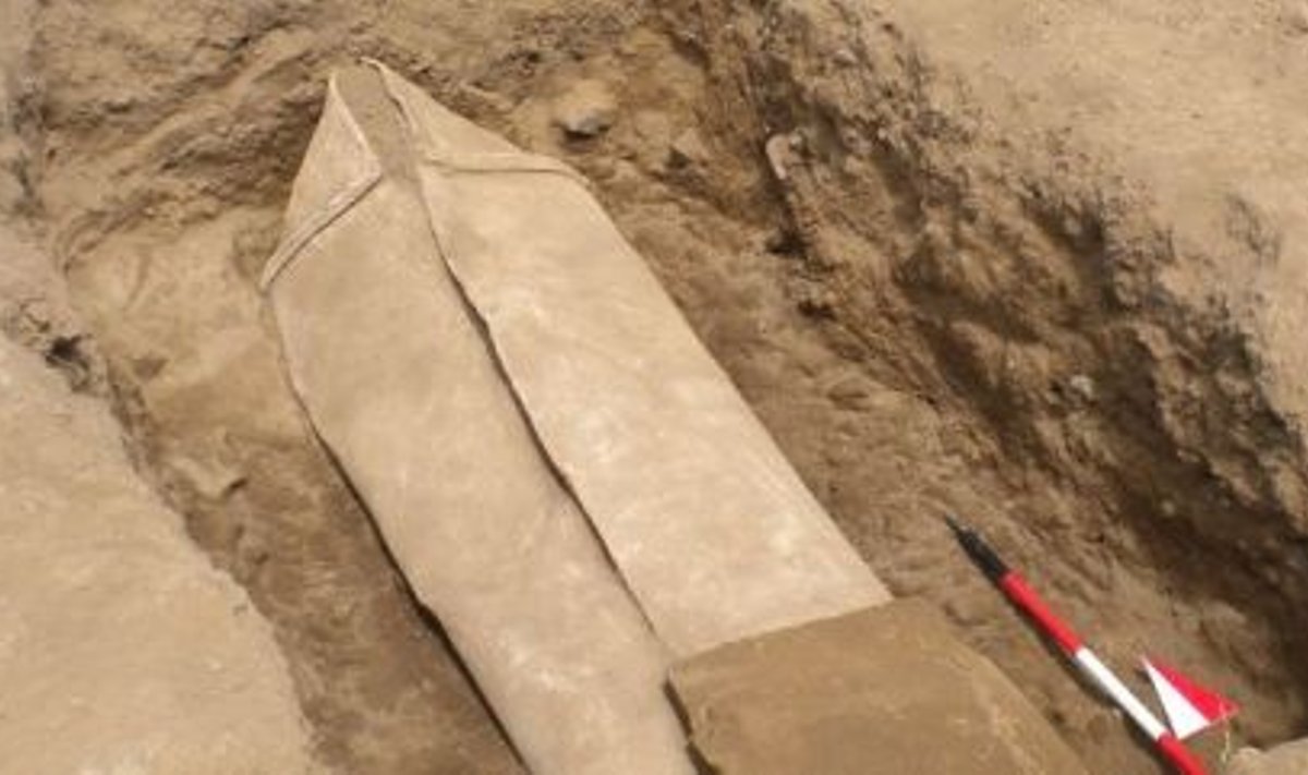 Rooma naaberlinna varemetest leitud ligi poole tonnine tinakirst. Foto: Michigani ülikool