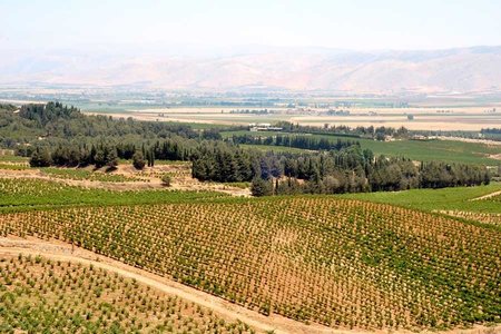 Päev kurikuulsas Bekaa orus: Beiruti ja Süüria pealinna Damaskuse vahele jääv platoo on täis vanu külasid, viinamarjaistandusi ja viljakaid põlde.  (Silvia Pärmann)